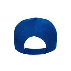 Preschool 6 Panel Cap